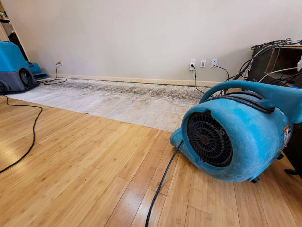 Professional Water Extraction technician working in Cottonwood, CA